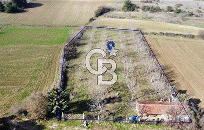 CB KiNG'DEN PAMUKÇU DA MERKEZE 15DK SATILIK CEVİZ BAHÇESİ