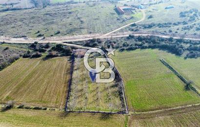 CB KiNG'DEN PAMUKÇU DA MERKEZE 15DK SATILIK CEVİZ BAHÇESİ