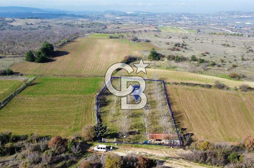CB KiNG'DEN PAMUKÇU DA MERKEZE 15DK SATILIK CEVİZ BAHÇESİ