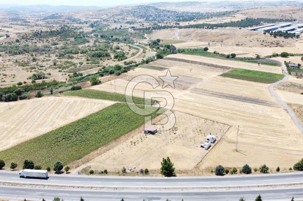 CB KiNG'DEN KESİRVEN MAHALLESİNDE 6289 M2 SATILIK TARLA