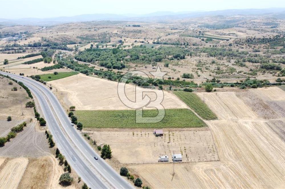 CB KiNG'DEN KESİRVEN MAHALLESİNDE 6289 M2 SATILIK TARLA