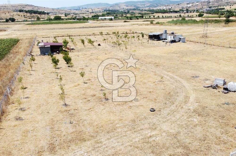 CB KiNG'DEN KESİRVEN MAHALLESİNDE 6289 M2 SATILIK TARLA