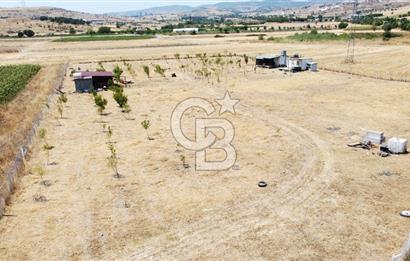 CB KiNG'DEN KESİRVEN MAHALLESİNDE 6289 M2 SATILIK TARLA