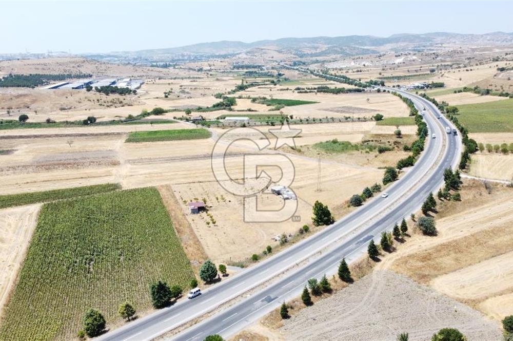 CB KiNG'DEN KESİRVEN MAHALLESİNDE 6289 M2 SATILIK TARLA