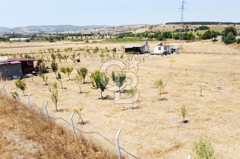 CB KiNG'DEN KESİRVEN MAHALLESİNDE 6289 M2 SATILIK TARLA