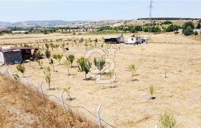 CB KiNG'DEN KESİRVEN MAHALLESİNDE 6289 M2 SATILIK TARLA