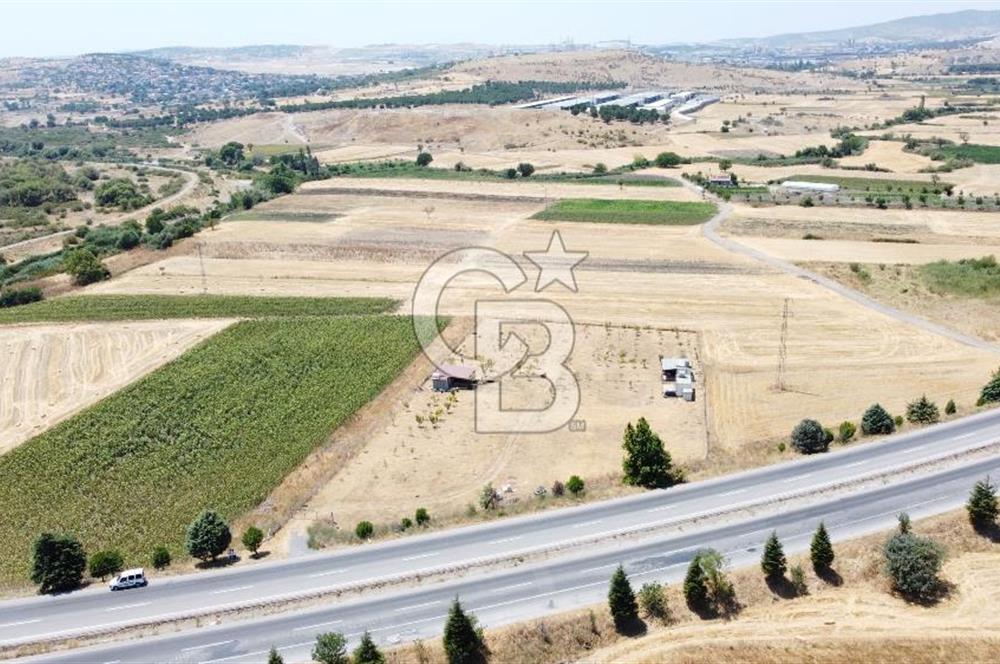 CB KiNG'DEN KESİRVEN MAHALLESİNDE 6289 M2 SATILIK TARLA