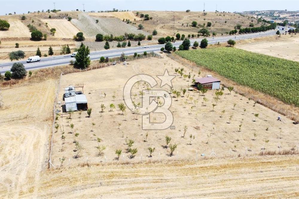CB KiNG'DEN KESİRVEN MAHALLESİNDE 6289 M2 SATILIK TARLA
