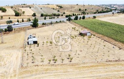 CB KiNG'DEN KESİRVEN MAHALLESİNDE 6289 M2 SATILIK TARLA