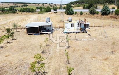 CB KiNG'DEN KESİRVEN MAHALLESİNDE 6289 M2 SATILIK TARLA
