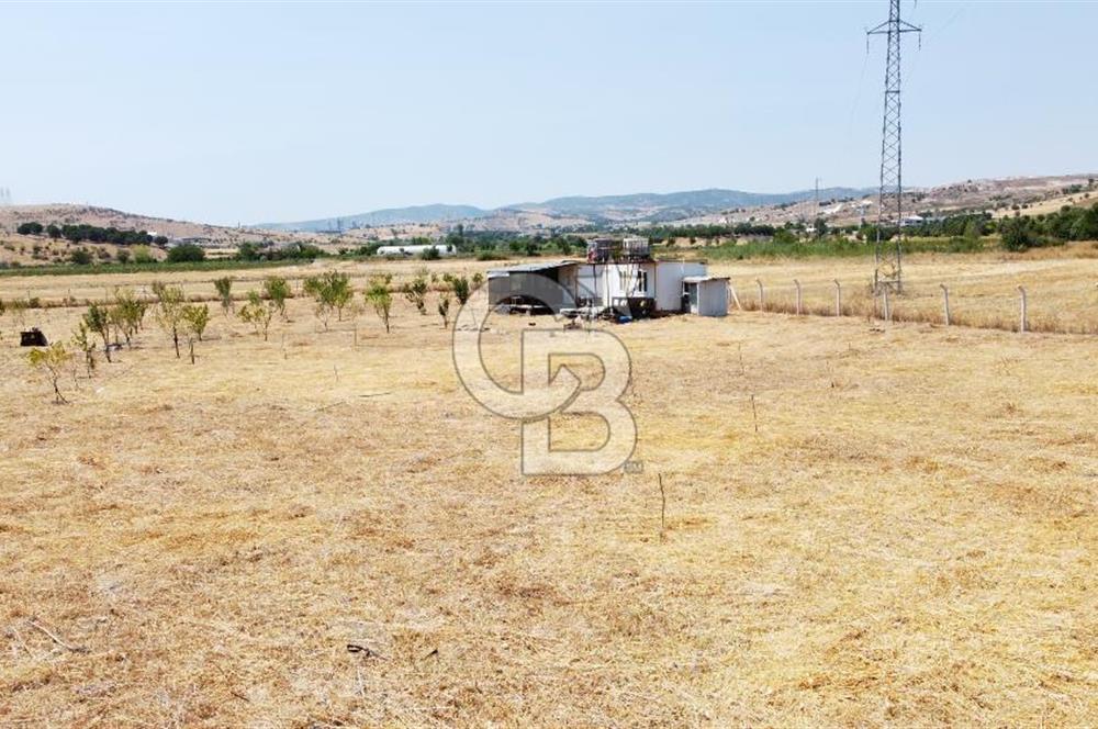 CB KiNG'DEN KESİRVEN MAHALLESİNDE 6289 M2 SATILIK TARLA