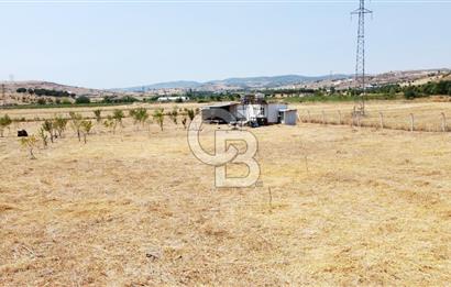 CB KiNG'DEN KESİRVEN MAHALLESİNDE 6289 M2 SATILIK TARLA