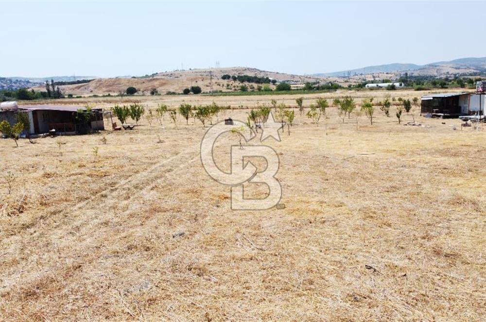 CB KiNG'DEN KESİRVEN MAHALLESİNDE 6289 M2 SATILIK TARLA