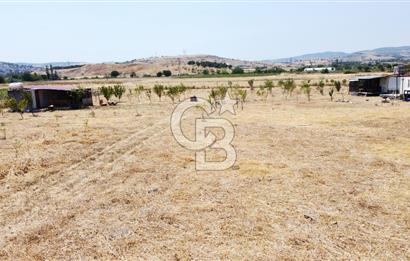 CB KiNG'DEN KESİRVEN MAHALLESİNDE 6289 M2 SATILIK TARLA