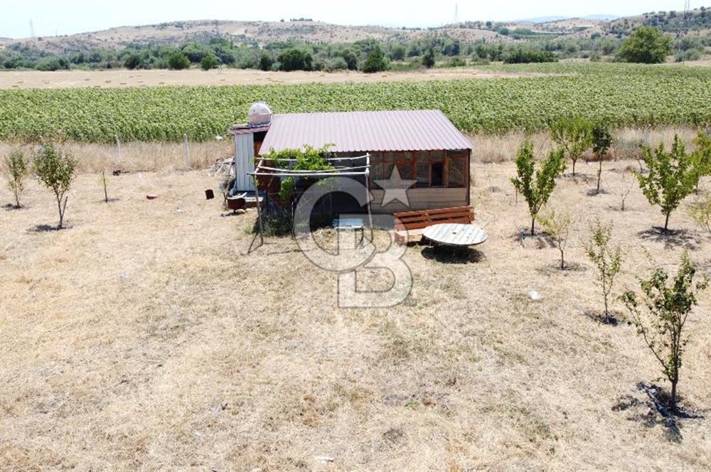 CB KiNG'DEN KESİRVEN MAHALLESİNDE 6289 M2 SATILIK TARLA