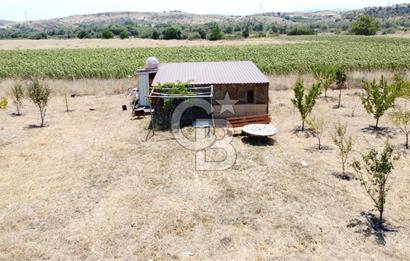 CB KiNG'DEN KESİRVEN MAHALLESİNDE 6289 M2 SATILIK TARLA