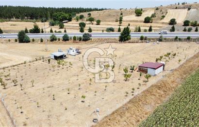 CB KiNG'DEN KESİRVEN MAHALLESİNDE 6289 M2 SATILIK TARLA