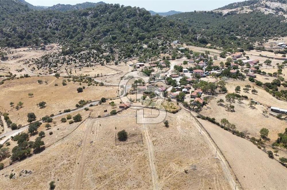 Ezine Hisaralan Köy İçi İmarlı, Orman Manzaralı Yatırımlık Arsa!