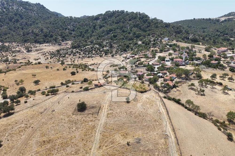 Ezine Hisaralan Köy İçi İmarlı, Orman Manzaralı Yatırımlık Arsa!