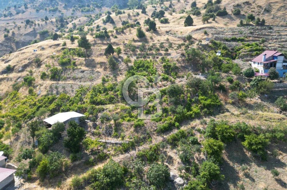 CB'DEN YENİCEKALE'DE TEK TAPU (4.255m2) SATILIK EV VE BAHÇE