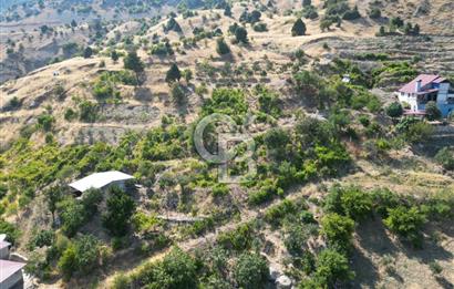 CB'DEN YENİCEKALE'DE TEK TAPU (4.255m2) SATILIK EV VE BAHÇE