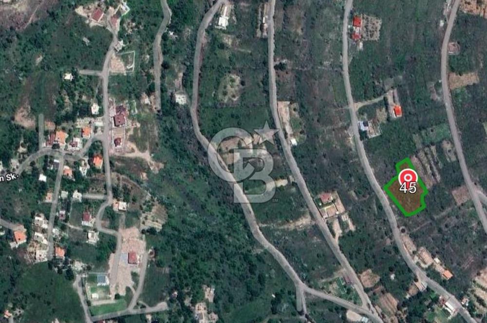 CB ZENİTH / HİSARCIK-BAHÇELİEVLER KIZILTEPE MEVKİİNDE İMARA 150 M. MESAFEDE ERCİYES MANZARALI BAĞ