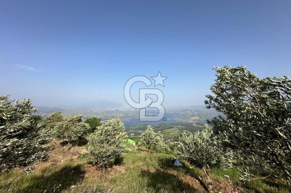 CB'DEN YENİCEKALE'DE TEK TAPU (4.255m2) SATILIK EV VE BAHÇE