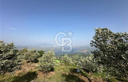 CB'DEN YENİCEKALE'DE TEK TAPU (4.255m2) SATILIK EV VE BAHÇE