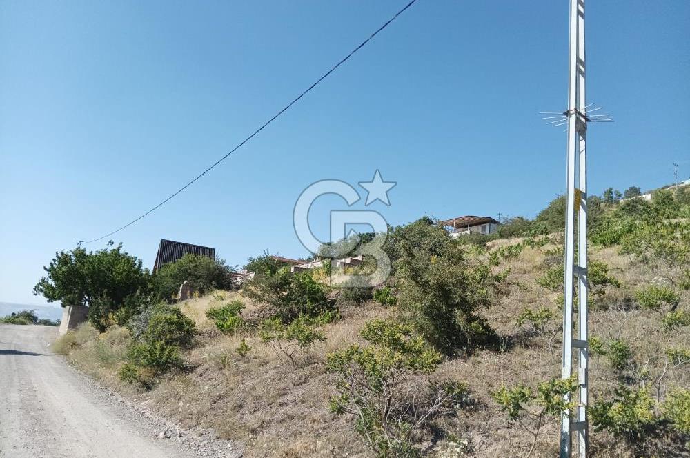 CB ZENİTH / HİSARCIK-BAHÇELİEVLER KIZILTEPE MEVKİİNDE İMARA 150 M. MESAFEDE ERCİYES MANZARALI BAĞ