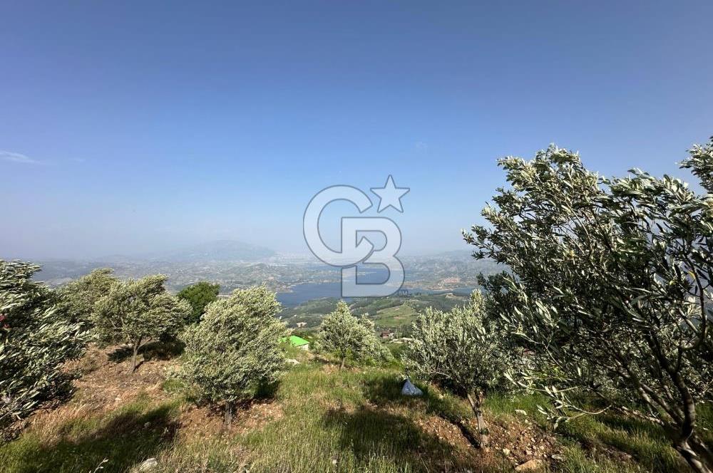CB'DEN YENİCEKALE'DE TEK TAPU (4.255m2) SATILIK EV VE BAHÇE