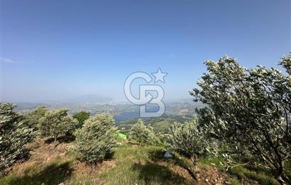 CB'DEN YENİCEKALE'DE TEK TAPU (4.255m2) SATILIK EV VE BAHÇE