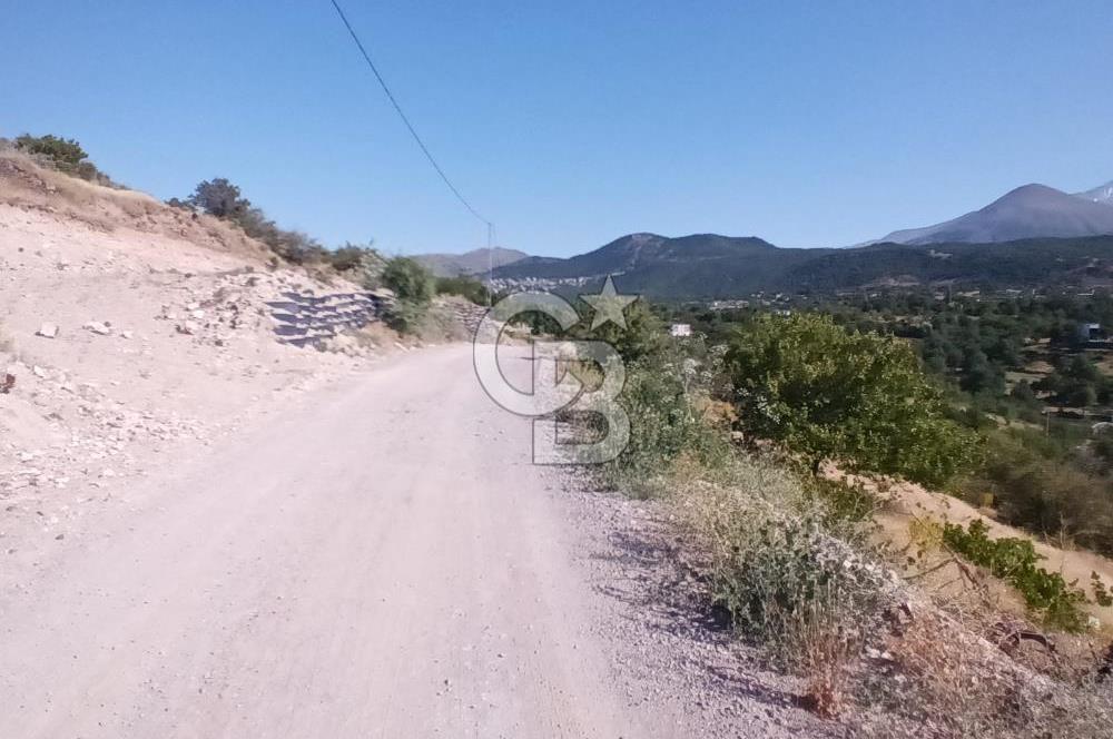 CB ZENİTH / HİSARCIK-BAHÇELİEVLER KIZILTEPE MEVKİİNDE İMARA 150 M. MESAFEDE ERCİYES MANZARALI BAĞ