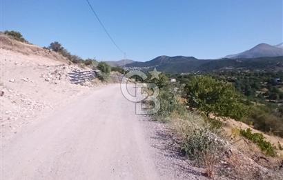 CB ZENİTH / HİSARCIK-BAHÇELİEVLER KIZILTEPE MEVKİİNDE İMARA 150 M. MESAFEDE ERCİYES MANZARALI BAĞ