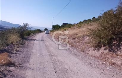 CB ZENİTH / HİSARCIK-BAHÇELİEVLER KIZILTEPE MEVKİİNDE İMARA 150 M. MESAFEDE ERCİYES MANZARALI BAĞ