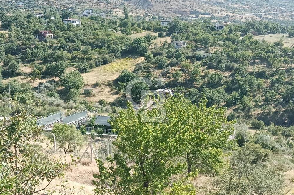 CB ZENİTH / HİSARCIK-BAHÇELİEVLER KIZILTEPE MEVKİİNDE İMARA 150 M. MESAFEDE ERCİYES MANZARALI BAĞ