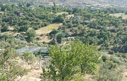 CB ZENİTH / HİSARCIK-BAHÇELİEVLER KIZILTEPE MEVKİİNDE İMARA 150 M. MESAFEDE ERCİYES MANZARALI BAĞ