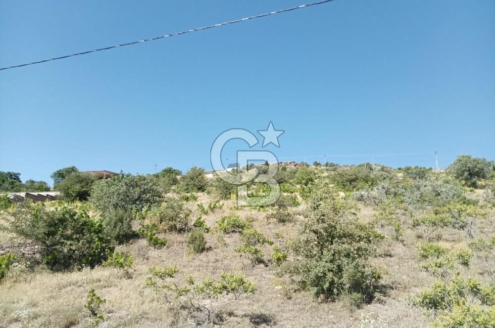 CB ZENİTH / HİSARCIK-BAHÇELİEVLER KIZILTEPE MEVKİİNDE İMARA 150 M. MESAFEDE ERCİYES MANZARALI BAĞ