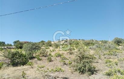 CB ZENİTH / HİSARCIK-BAHÇELİEVLER KIZILTEPE MEVKİİNDE İMARA 150 M. MESAFEDE ERCİYES MANZARALI BAĞ
