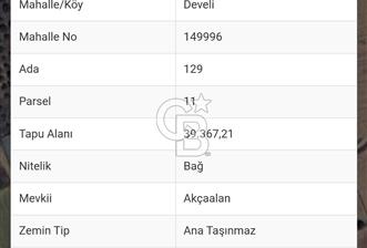 İZMİR MENDERES SATILIK TARLA