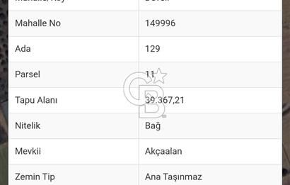 İZMİR MENDERES SATILIK TARLA