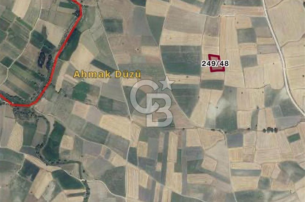 CB KiNG DEN KAMÇILI MH. SATILIK 3.974 M2 TARLA