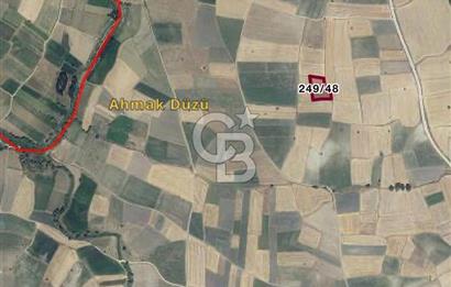 CB KiNG DEN KAMÇILI MH. SATILIK 3.974 M2 TARLA