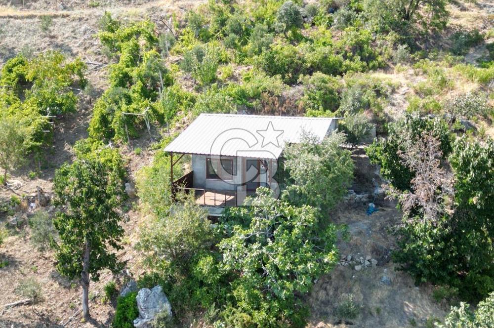 CB'DEN YENİCEKALE'DE TEK TAPU (4.255m2) SATILIK EV VE BAHÇE