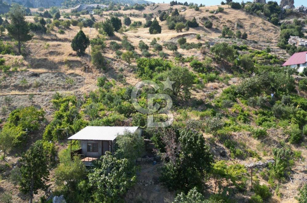 CB'DEN YENİCEKALE'DE TEK TAPU (4.255m2) SATILIK EV VE BAHÇE