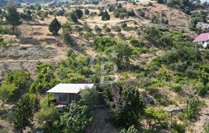 CB'DEN YENİCEKALE'DE TEK TAPU (4.255m2) SATILIK EV VE BAHÇE