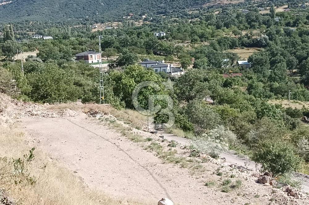 CB ZENİTH / HİSARCIK-BAHÇELİEVLER KIZILTEPE MEVKİİNDE İMARA 150 M. MESAFEDE ERCİYES MANZARALI BAĞ