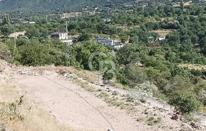 CB ZENİTH / HİSARCIK-BAHÇELİEVLER KIZILTEPE MEVKİİNDE İMARA 150 M. MESAFEDE ERCİYES MANZARALI BAĞ