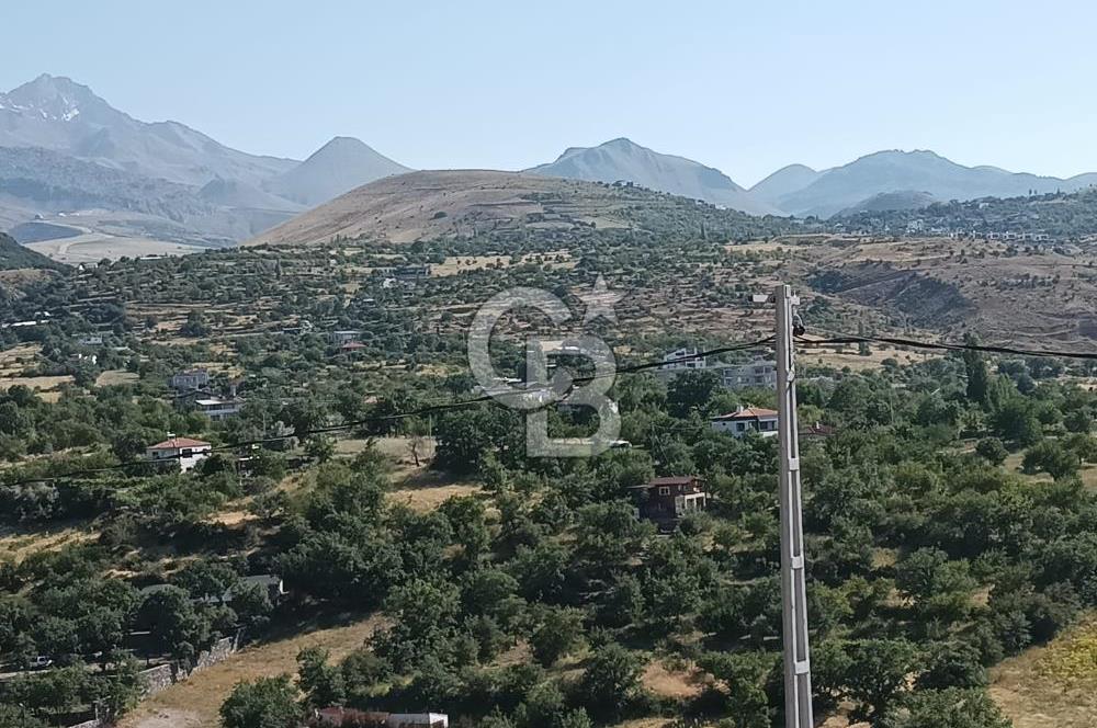 CB ZENİTH / HİSARCIK-BAHÇELİEVLER KIZILTEPE MEVKİİNDE İMARA 150 M. MESAFEDE ERCİYES MANZARALI BAĞ