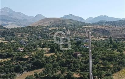 CB ZENİTH / HİSARCIK-BAHÇELİEVLER KIZILTEPE MEVKİİNDE İMARA 150 M. MESAFEDE ERCİYES MANZARALI BAĞ