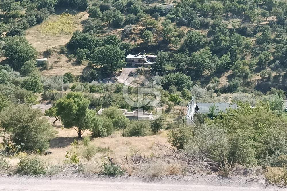 CB ZENİTH / HİSARCIK-BAHÇELİEVLER KIZILTEPE MEVKİİNDE İMARA 150 M. MESAFEDE ERCİYES MANZARALI BAĞ